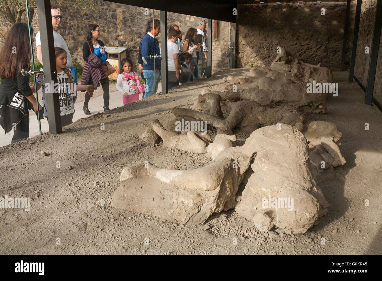 Tourist tourists in Garden of the Fugitives; casts / cast of dead / fugitive body / plaster bodies Pompeii Pompei Naples Italy Stock Photo