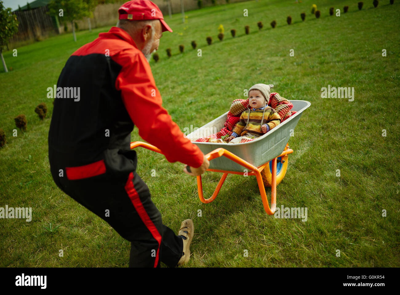 cute little boy sitting in wheelbarrow Stock Photo - Alamy