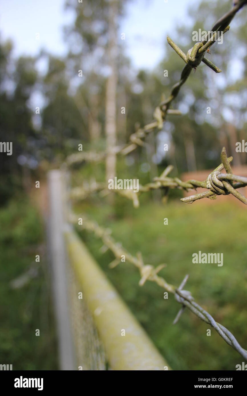 Old fence with barbed wire Stock Photo - Alamy
