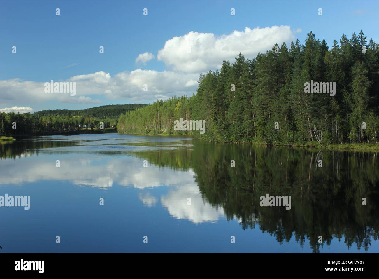 Hiking in swedish forest hi-res stock photography and images - Alamy