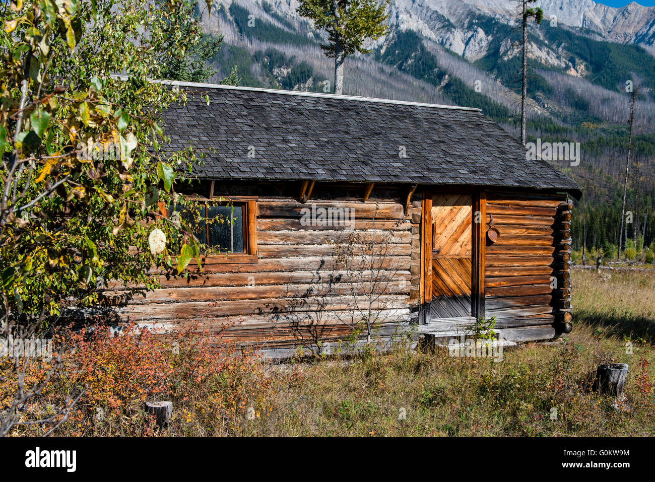 Deerlodge Cabin First Supervisory Hut From 1904 Yoho National