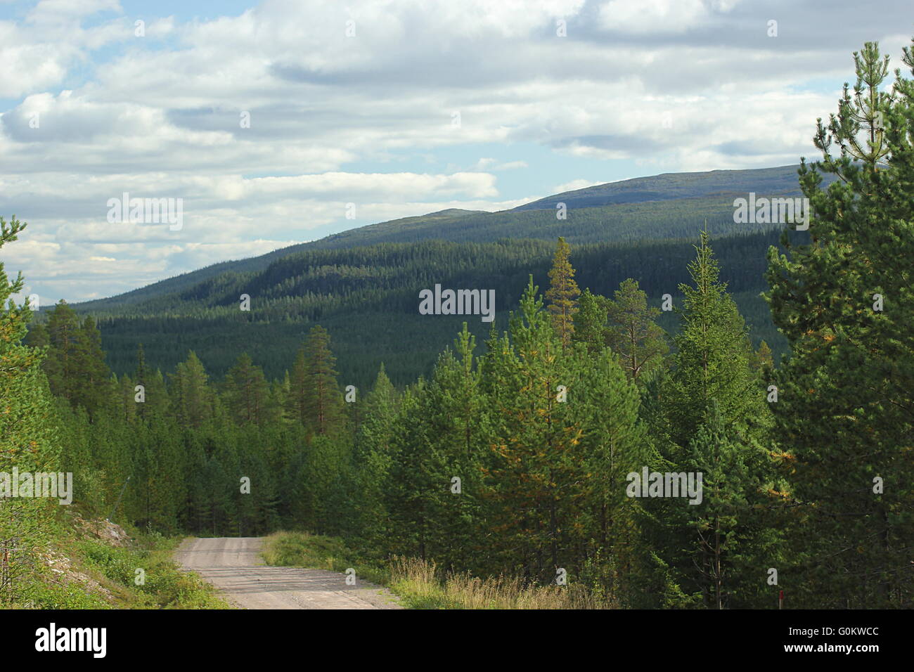 Gravel road in swedish mountains in Dalarna. Stock Photo