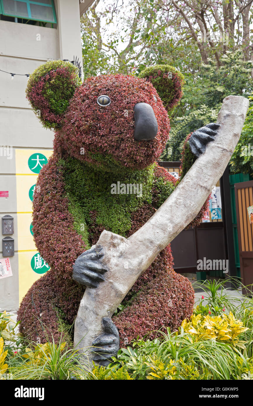 Wet koala hires stock photography and images Alamy
