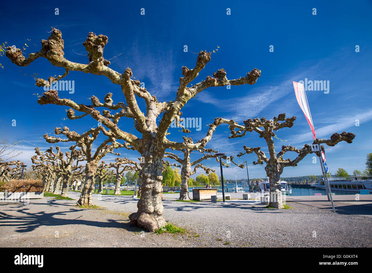 Trees and flowers along the embarkment in the Kreuzlingen city center near Konstanz city with the lake Constance and boats. Stock Photo