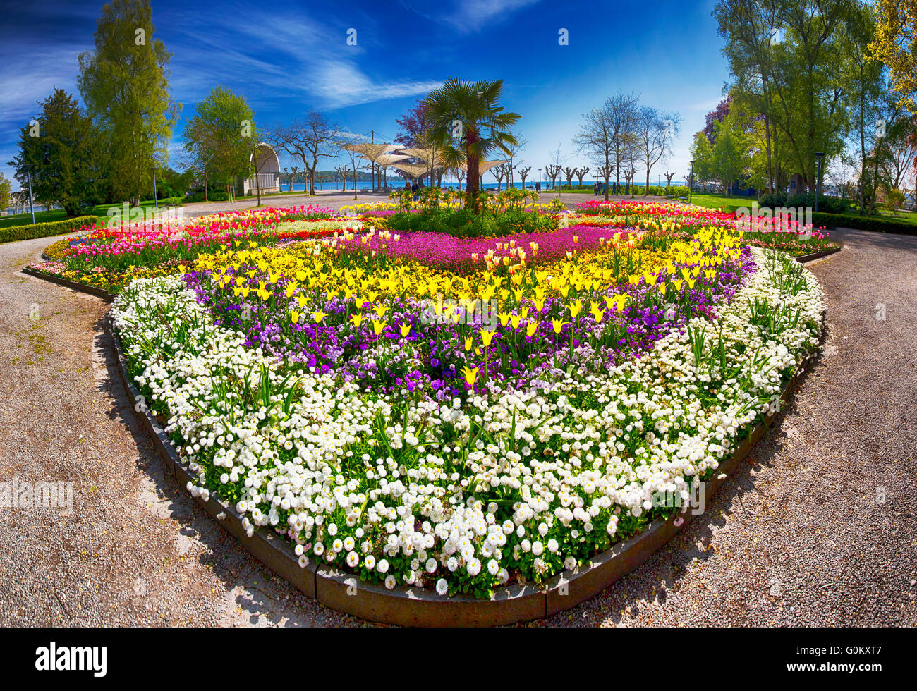 Flowers (tulips, Palms) in the centre of Konstanz city park with Constance lake (Bodensee) in the background. Stock Photo