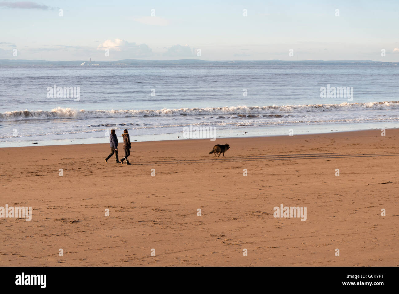 Two women walking dog on the sandy Minehead beach, Somerset England UK. Stock Photo
