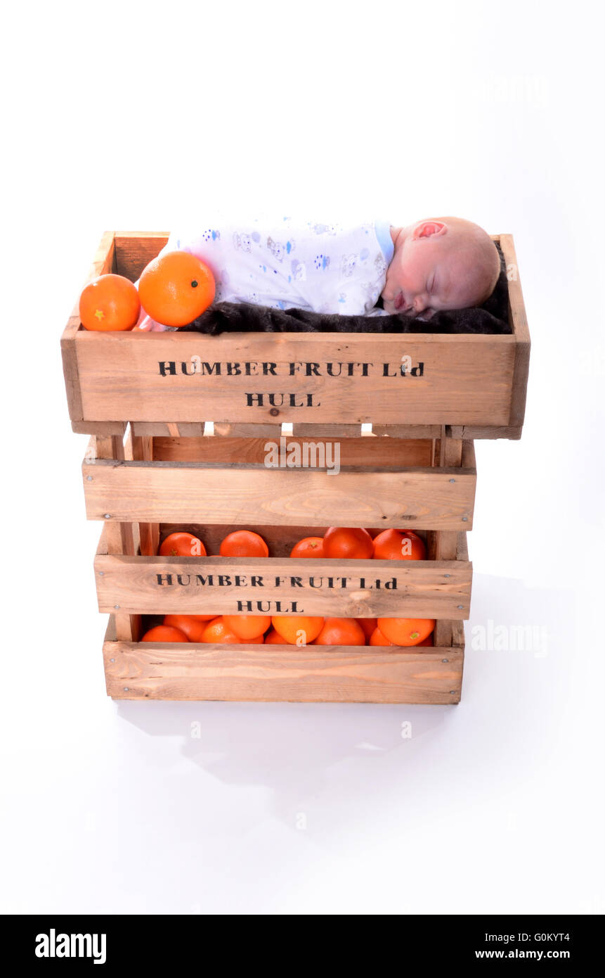 Baby sleeping in a Humber street fruit box full of oranges, Kingston upon Hull, Stock Photo