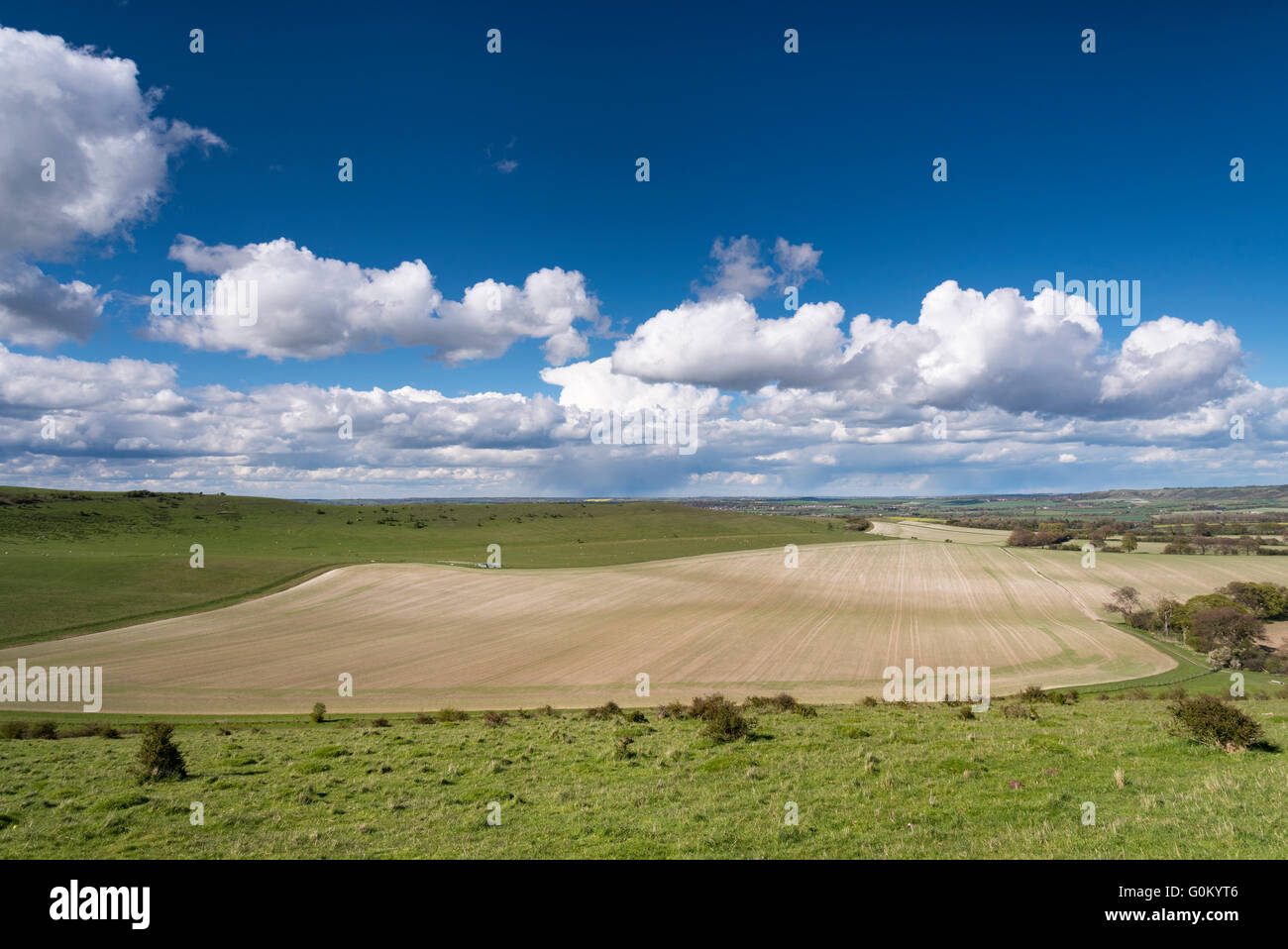 English spring landscape of ploughed field in Dunstable Downs in Bedfordshire. Stock Photo