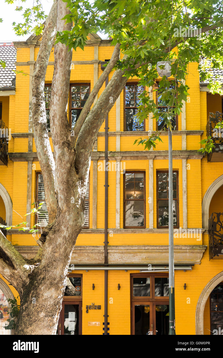 Yellow Restaurant, Potts Point, Sydney, NSW Stock Photo Alamy