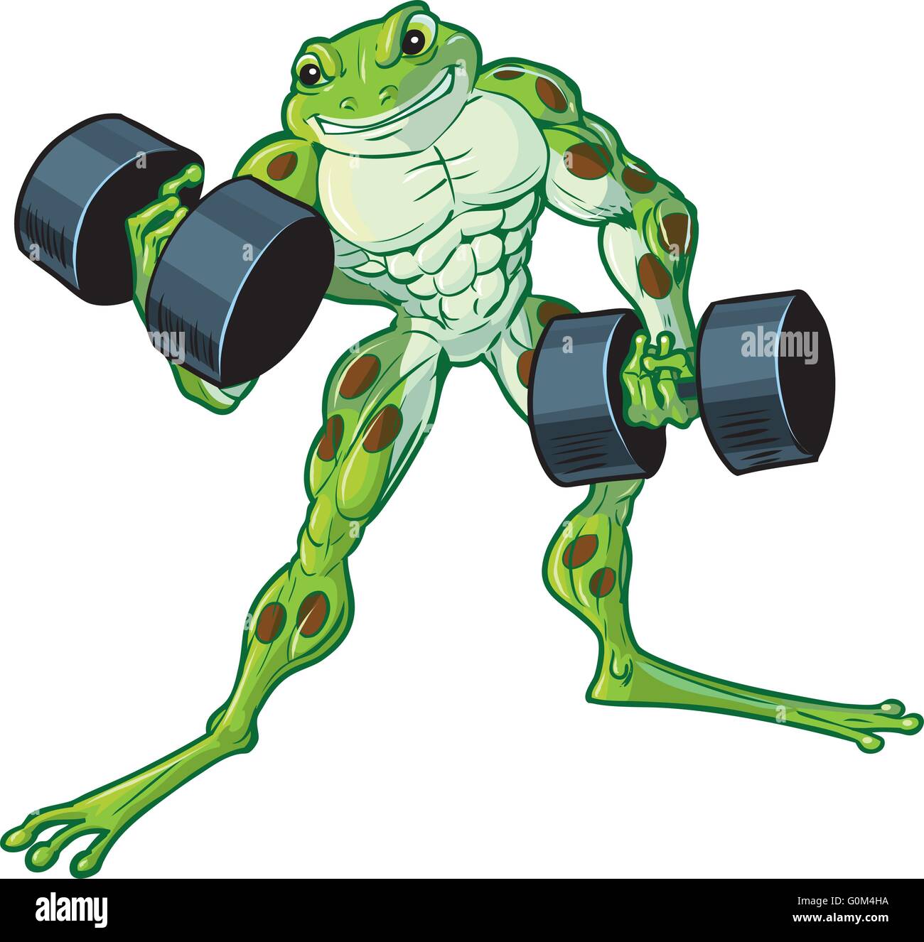 Vector cartoon clip art illustration of a tough muscular weightlifting frog curling or lifting dumbbells. Stock Vector