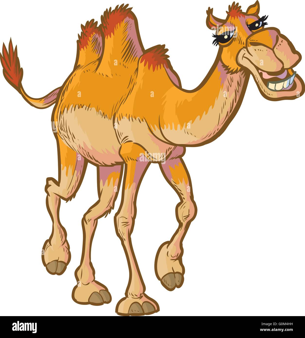 Vector cartoon clip art illustration of a happy camel walking forward toward the viewer. Stock Vector
