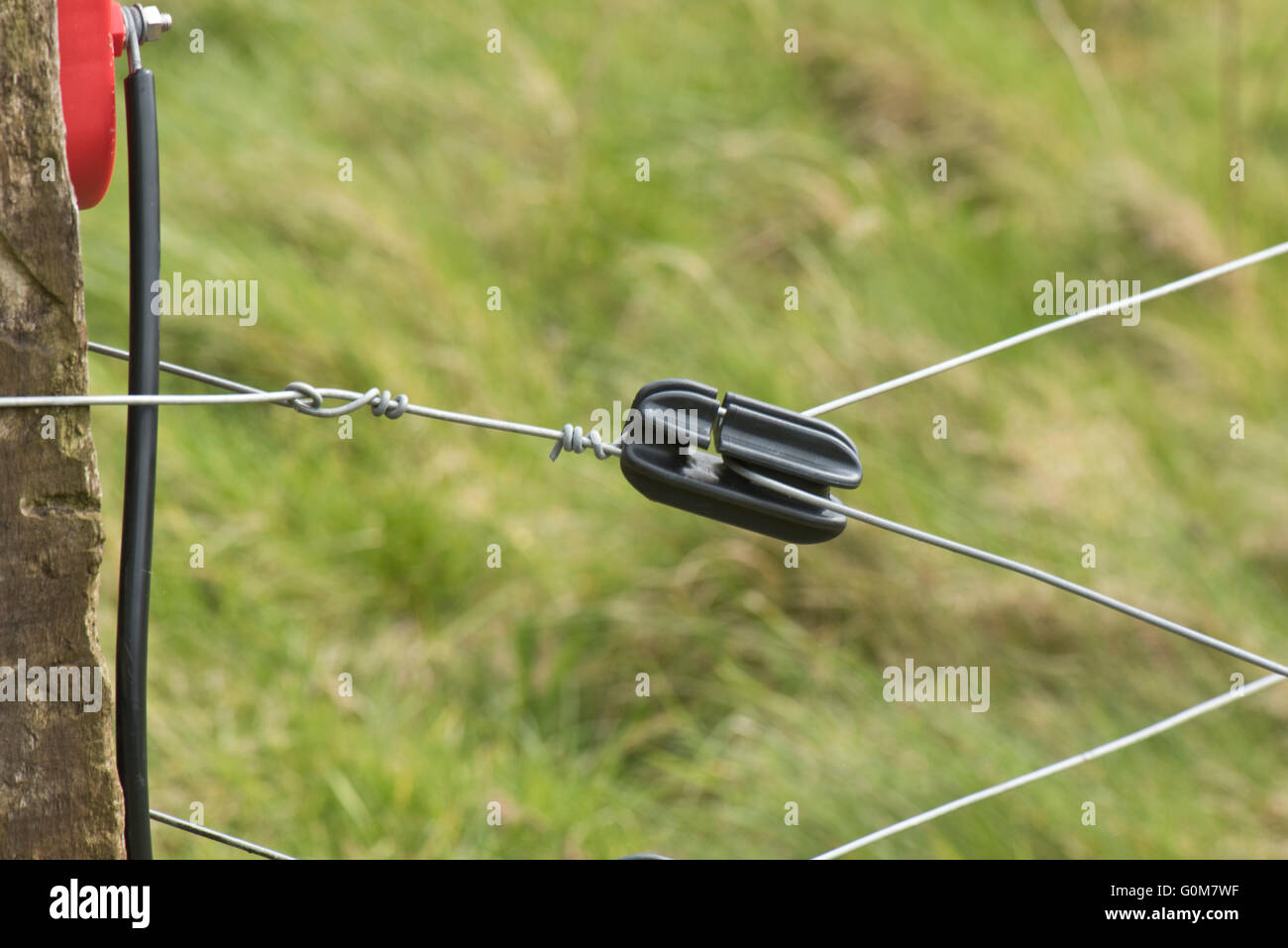 Sturdy sleep corner post with wires and insulators for and electric fence to pen livestock