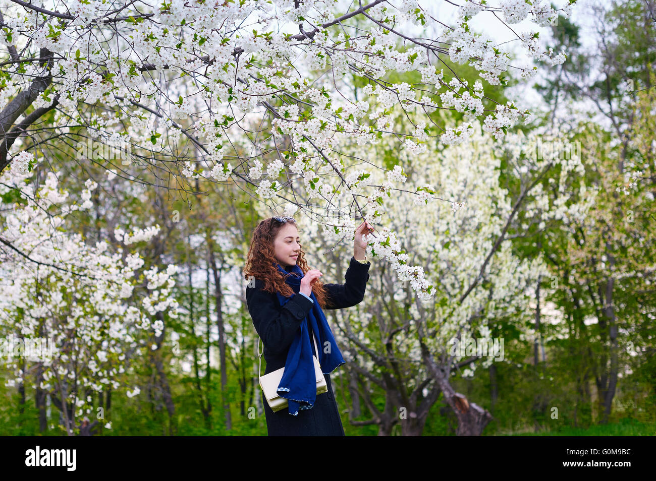Portrait of young beautiful woman in spring blossom trees Stock Photo