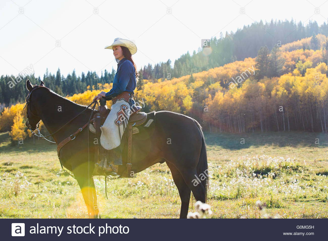 Woman sitting horseback in sunny autumnal field Stock Photo