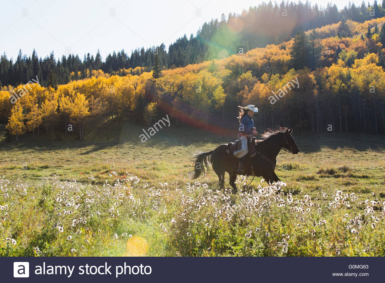 Woman horseback riding in sunny autumnal field Stock Photo