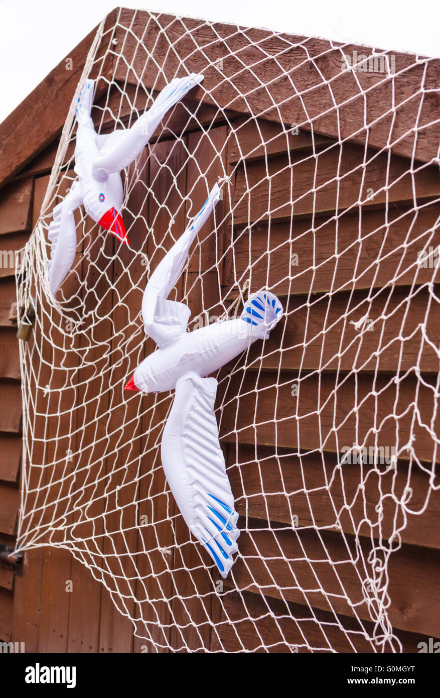 Inflatable toy seagulls in netting on a garden shed Stock Photo - Alamy