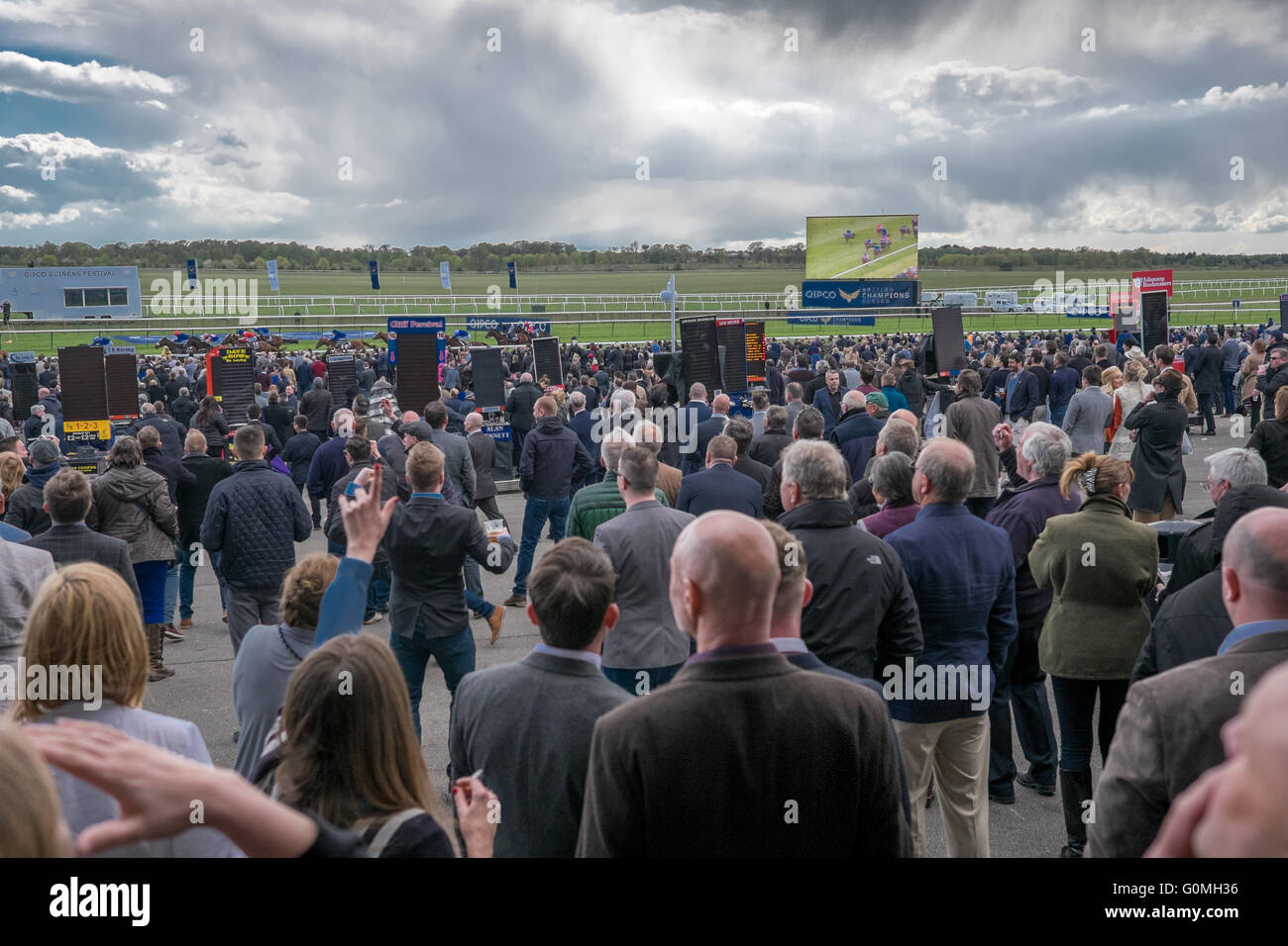 The crowd cheer cheers cheering the horses horse race at the QIPCO 2000 Guineas race.The crowd cheer cheers cheering the horses Stock Photo