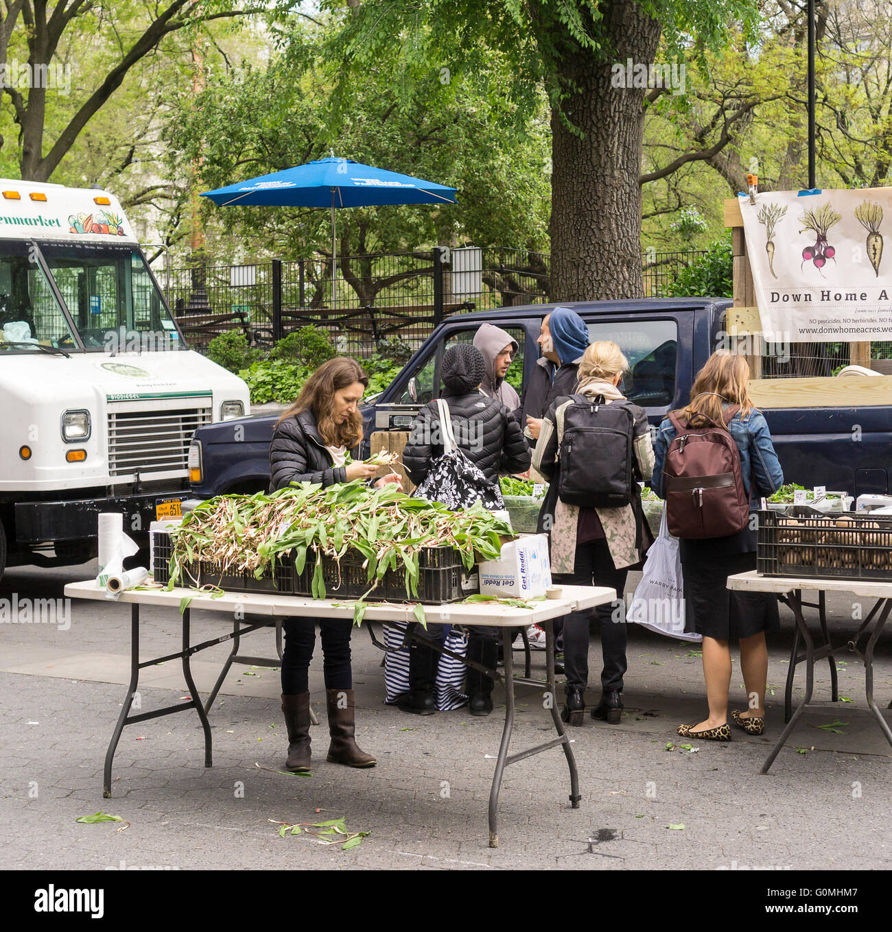 The sought after relative of the onion, ramps, are featured front and