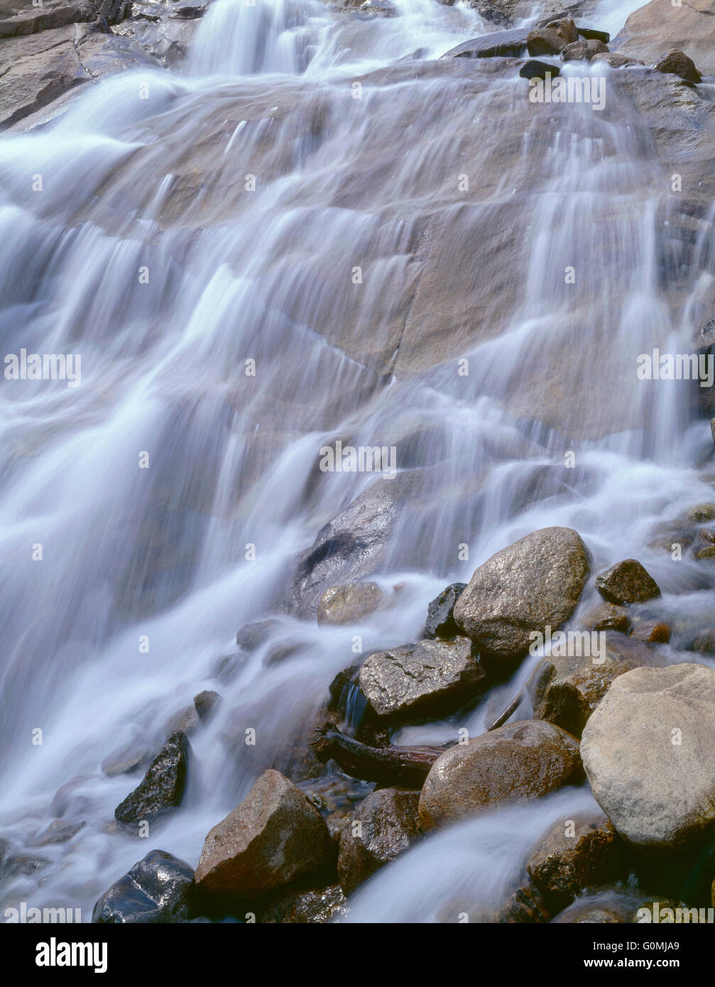 USA, Colorado, Rocky Mountain National Park, Waterfall on Roaring River. Stock Photo