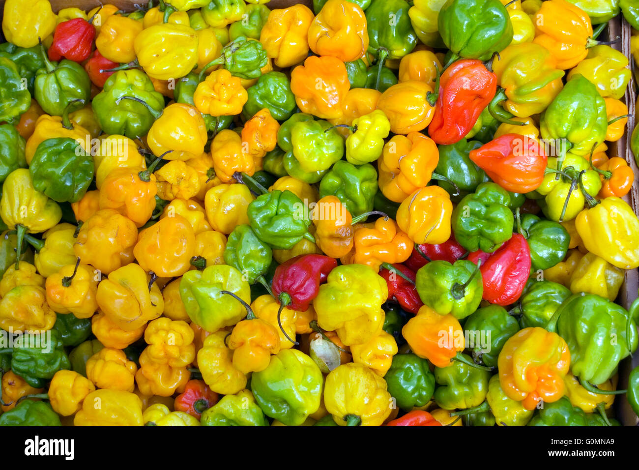 Yellow chillies hi-res stock photography and images - Alamy