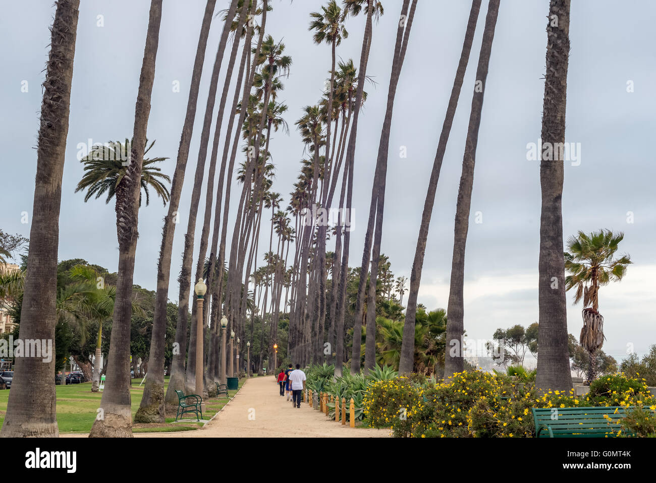 Palisades Park in Santa Monica, CA, USA Stock Photo Alamy