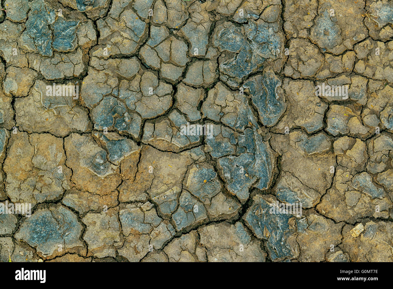 Mudcracks and soil drought, surface of dry waterless land in summer