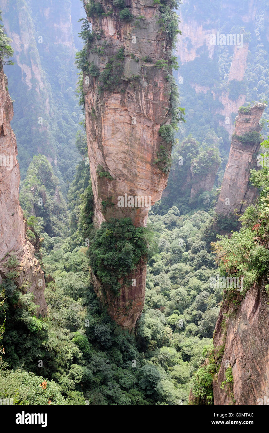 The unique rock pillars and landscape within Zhangjiajie national