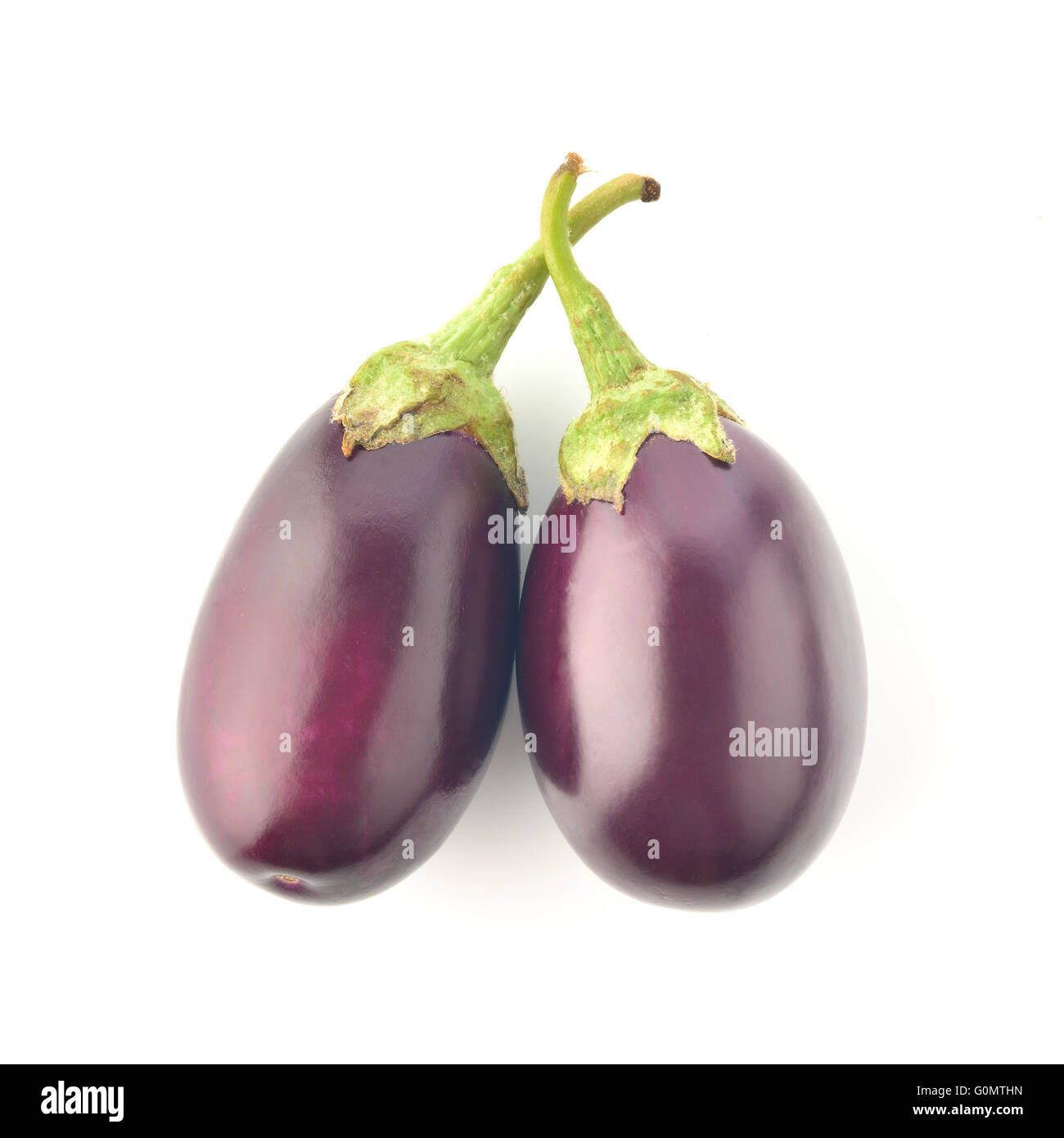 Eggplant on White Background shot in Studio Stock Photo