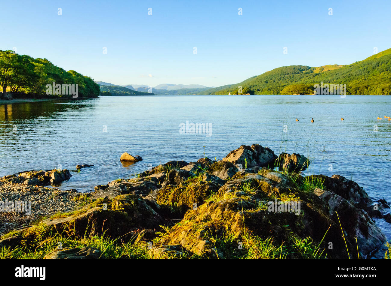 Summer evening on Coniston Water with Peel Island right of centre and Fairfield on the skyline Stock Photo