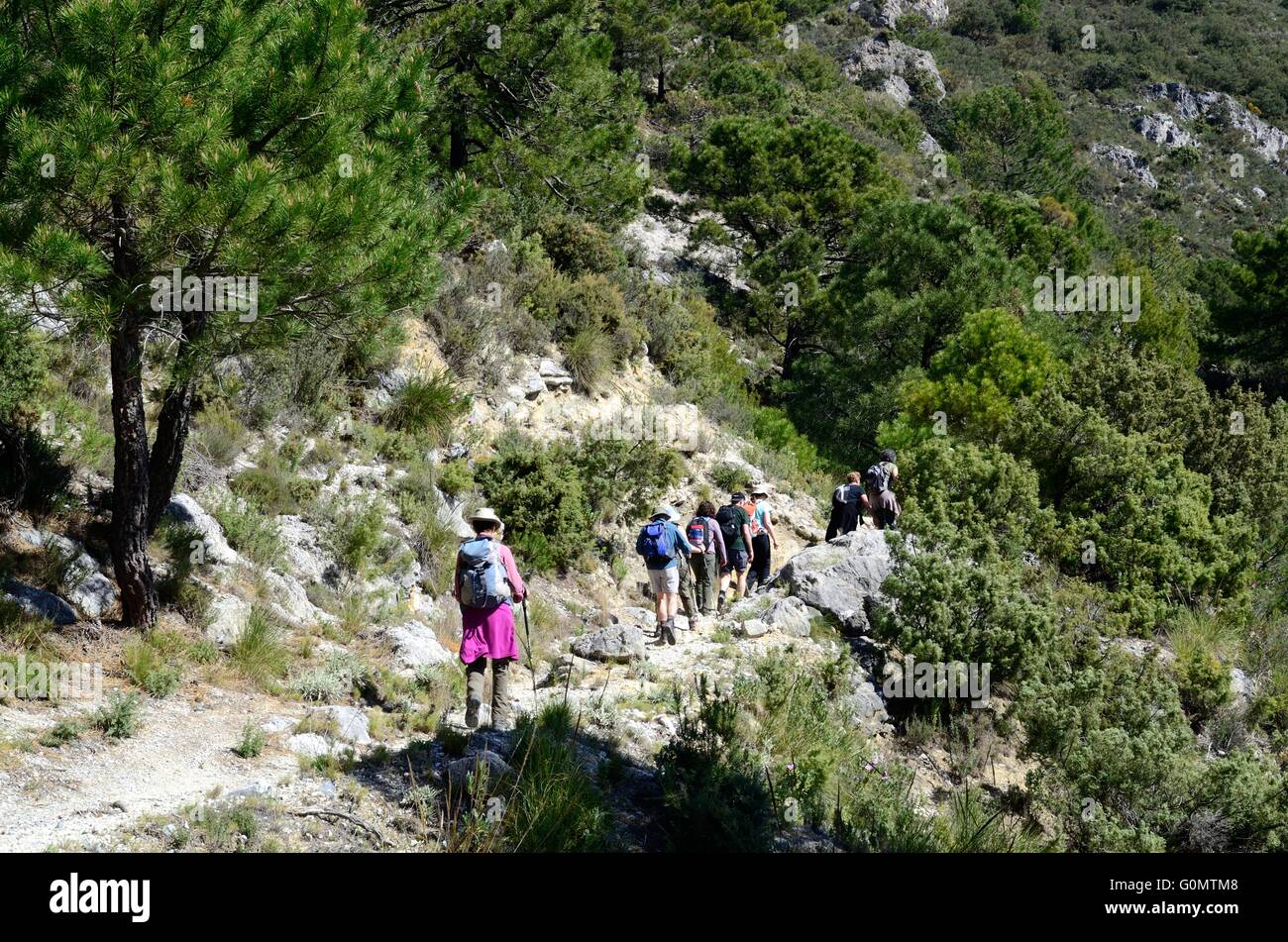 Hikers on the ancient silk route through limestone landscapes Sierra Tejeda Spanish National Park Andalusia Malaga Region Spain Stock Photo