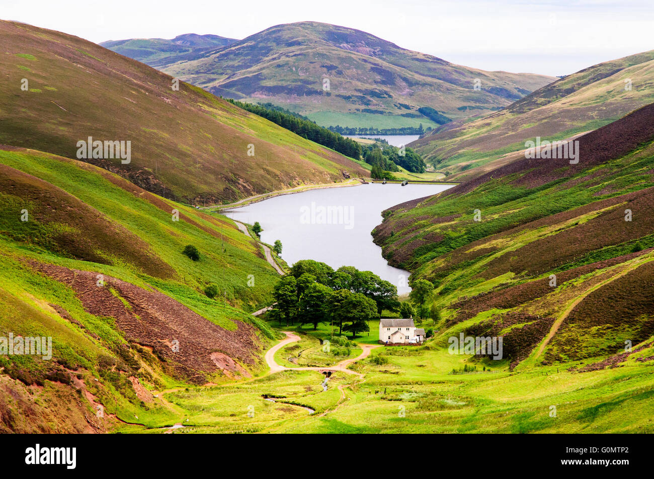 View over Loganlee Reservoir in the Pentland Hills near Edinburgh Scotland Stock Photo