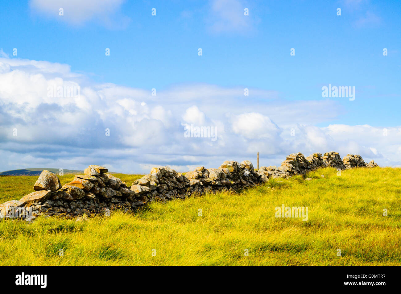 Ruined dry-stone wall on Firthybrig Head above Loch Skeen in the Southern Uplands of Scotland Stock Photo