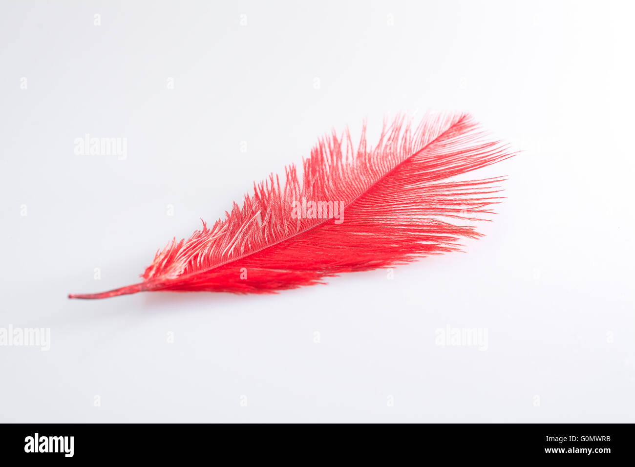 Red ostrich feater hi-res stock photography and images - Alamy