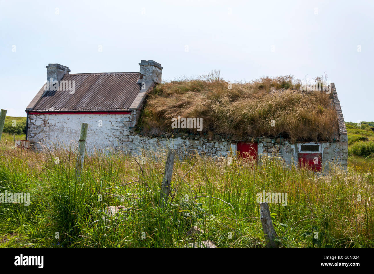 Overgrown Thatched Cottage In Garden Burtonport County Donegal