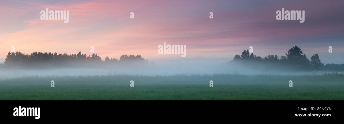 Evening fog mist misty hi-res stock photography and images - Alamy