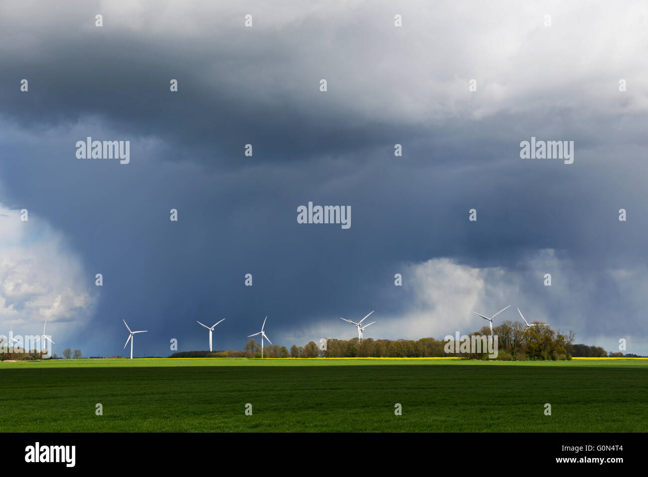 Windfarm under stormy skies, Fenland, Cambridgeshire, England UK Stock Photo