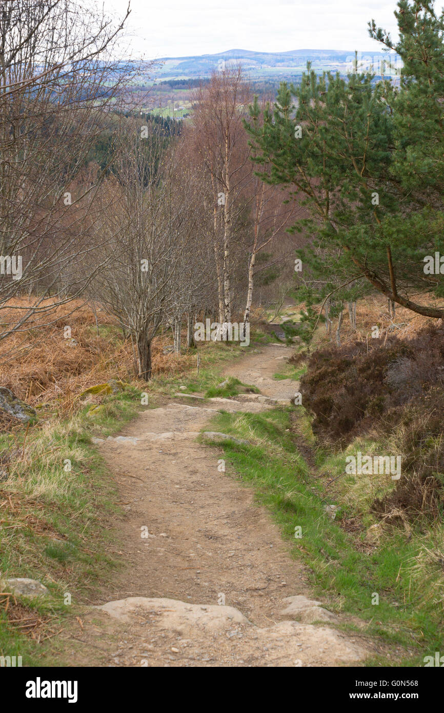 The path up Scotly Hill, near Banchory, in Aberdeenshire, Scotland Stock Photo