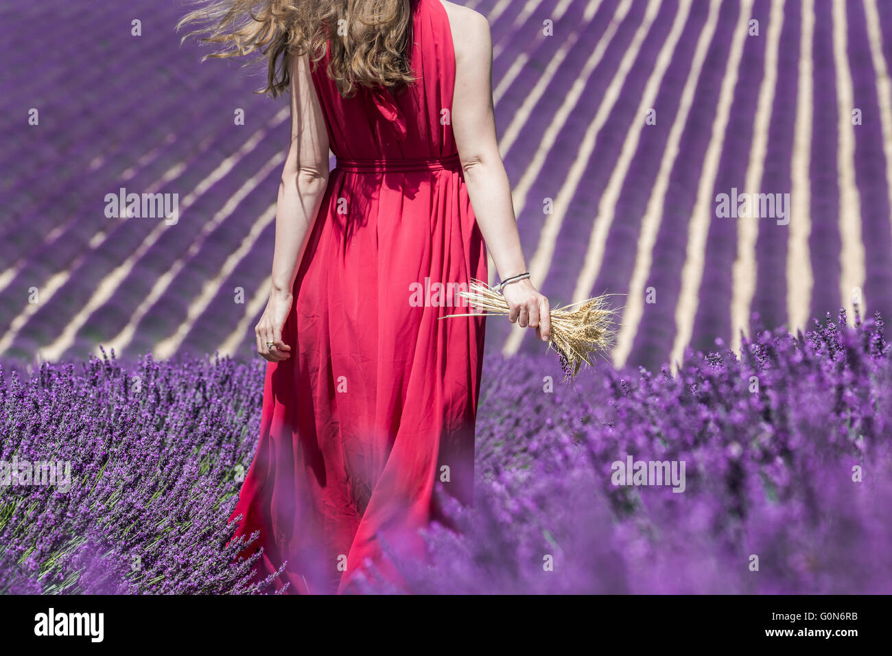 Beautiful woman in field of lavender. Provence, France. Stock Photo