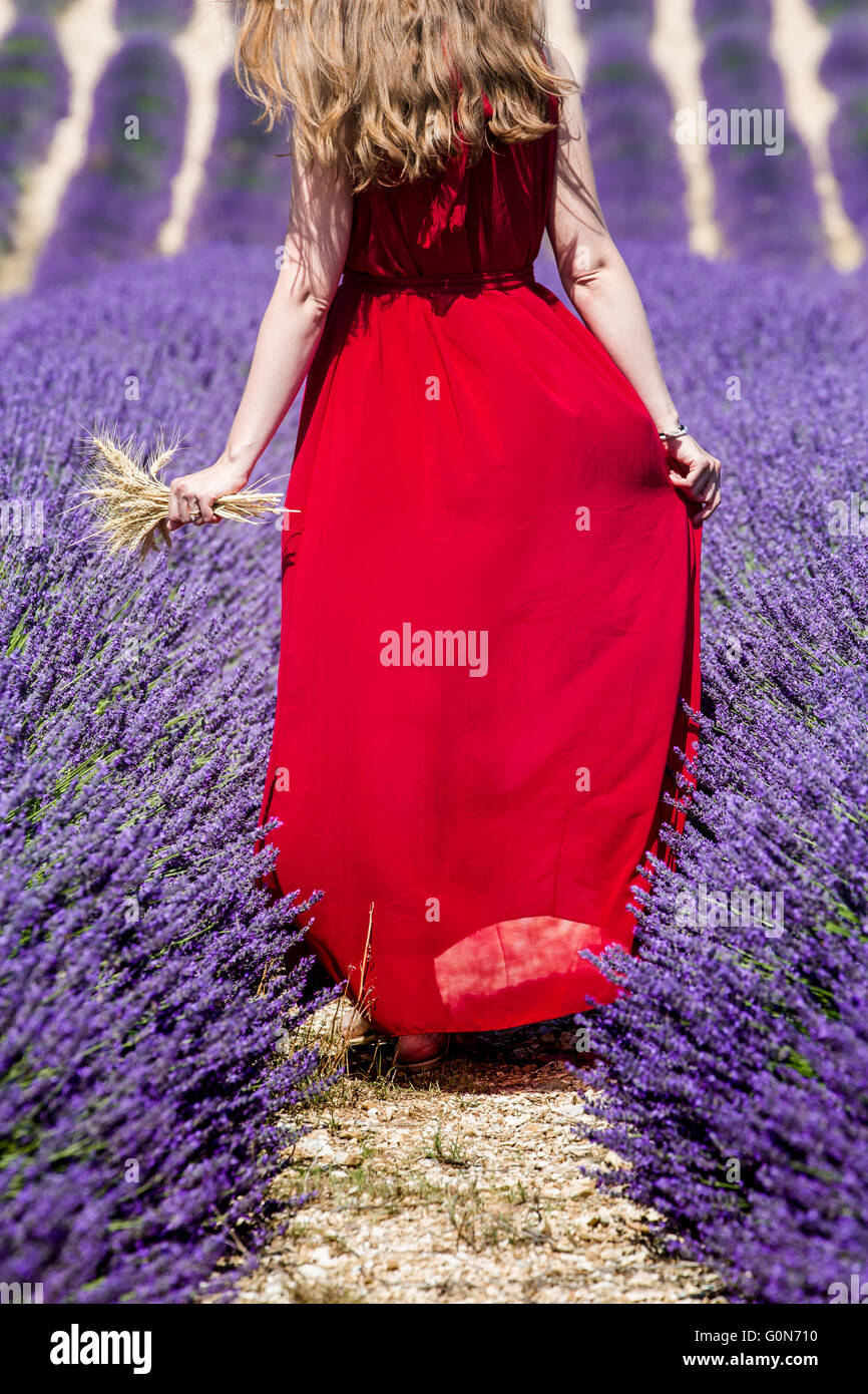 Beautiful woman in field of lavender. Provence, France. Stock Photo