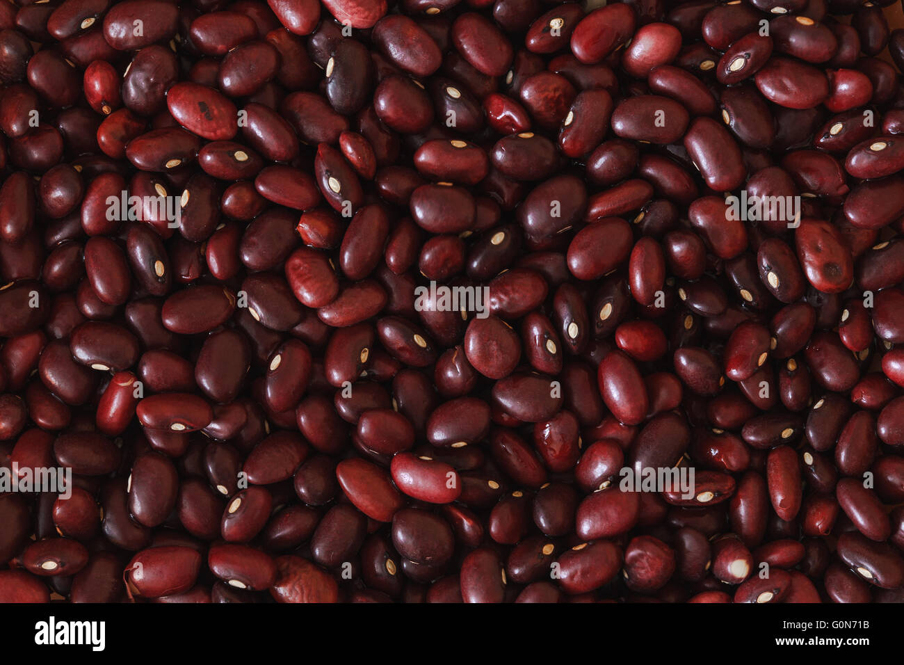 red azuki beans Stock Photo