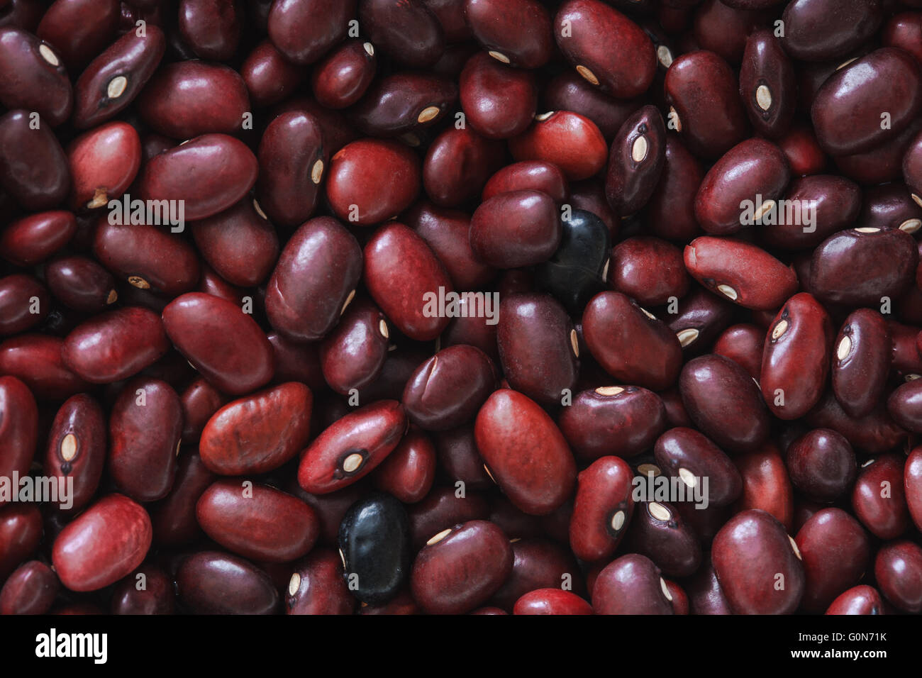 red adzuki beans Stock Photo