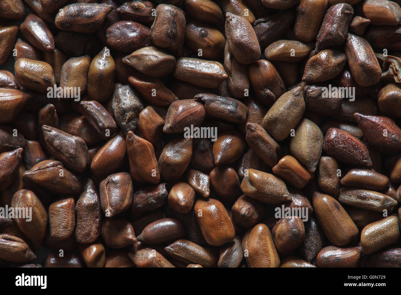 chinese coffee beans Stock Photo