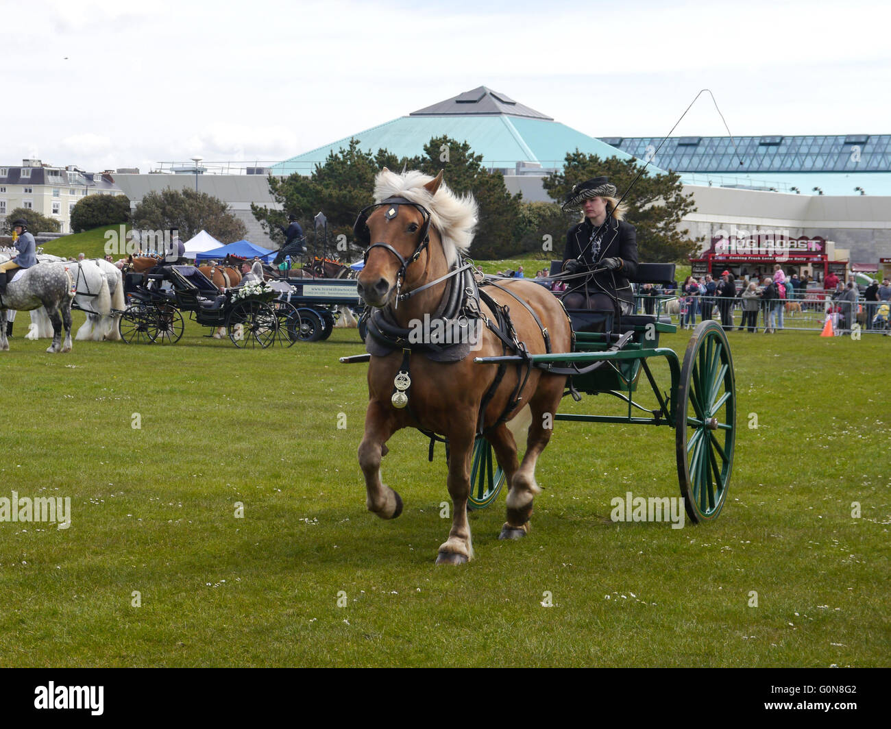 Canadian cart hires stock photography and images Alamy