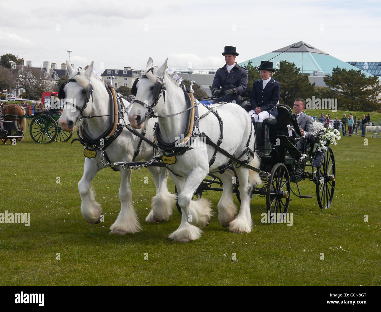 Heavy horses pulling carriage hires stock photography and images Alamy