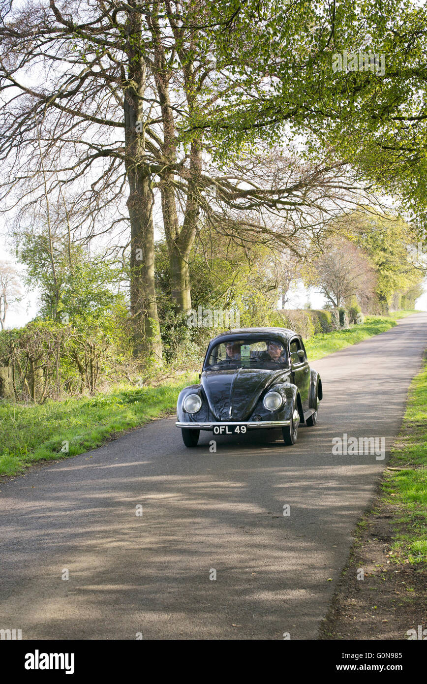 1949 vintage VW Beetle car on an english country road. Leicestershire ...