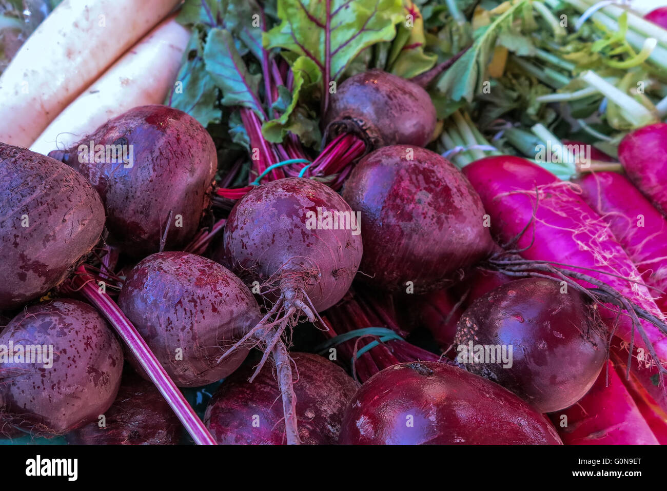 Beets and radish Stock Photo Alamy