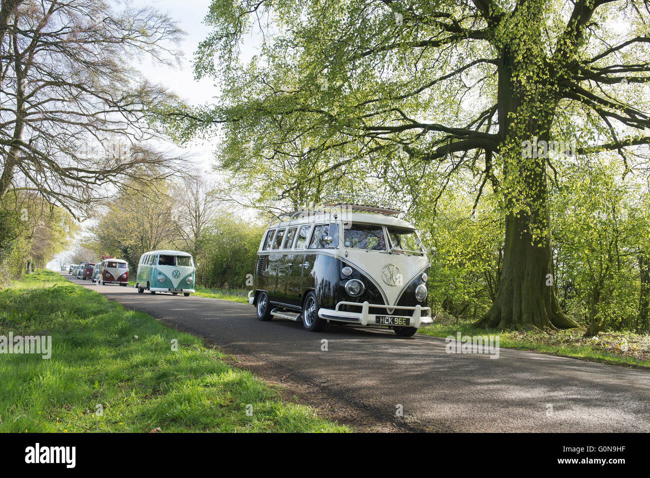 Volkswagen Split Screen camper vans in convoy on a english country road.  Leicestershire, England Stock Photo - Alamy