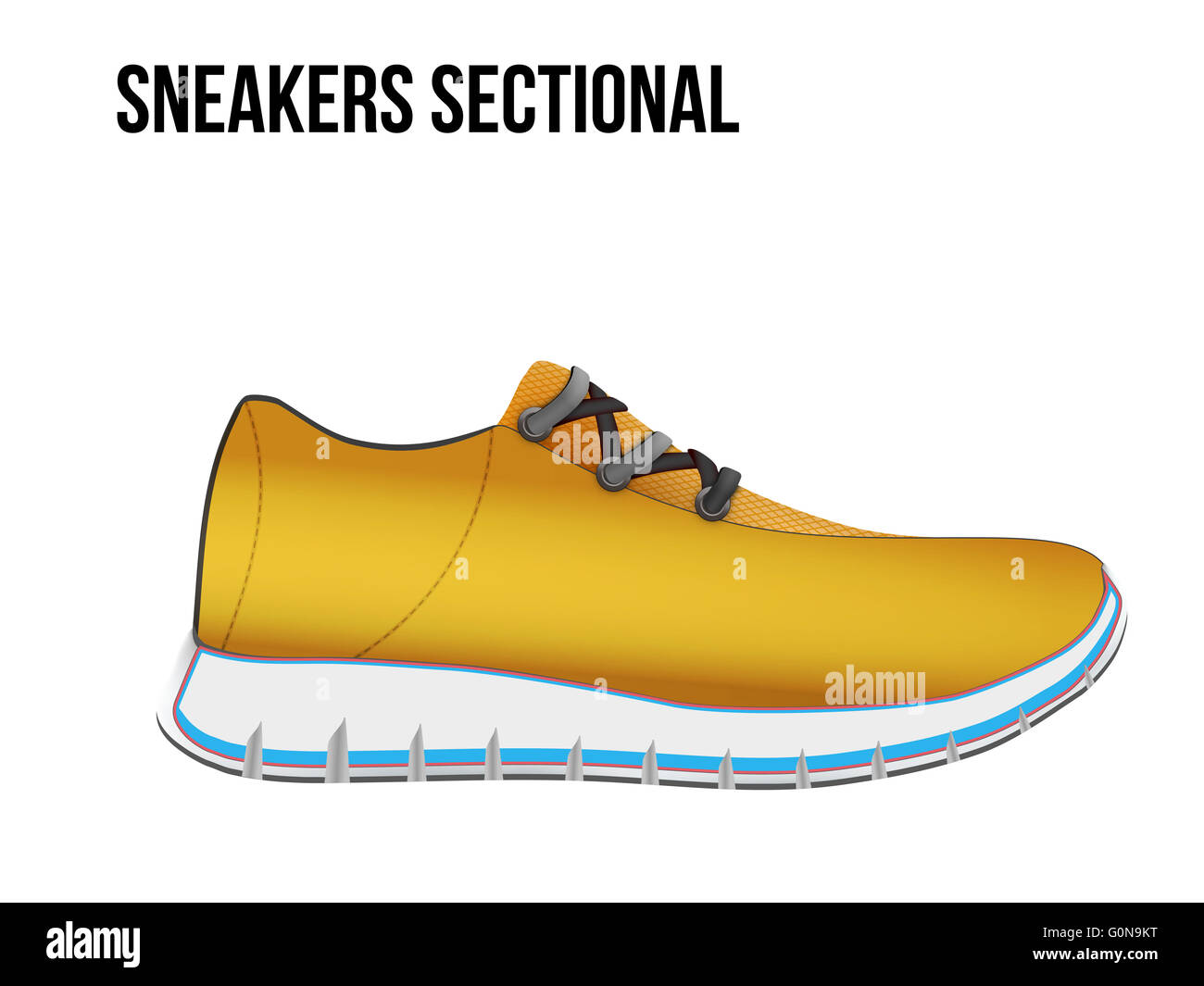 Technical illustration of a shoes sectional. Stock Photo