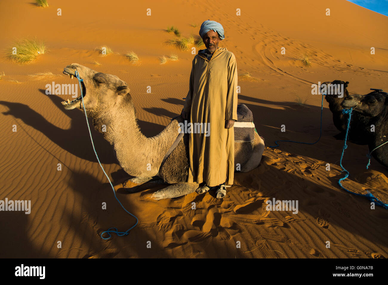 Camel driver with his camels in the Erg Chebbi sand dunes Stock Photo