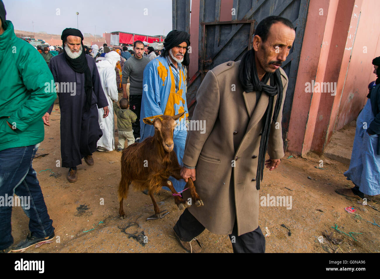 People and animals in the animal market in Guelmim Stock Photo